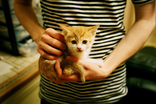 爱游戏综合娱乐-冰壶锦标赛：冰面上的战略博弈，冰壶比赛规则视频讲解