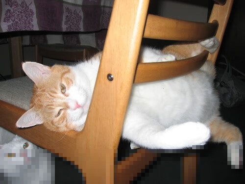 穿越火线 百城联赛打响夏季战 AG老将再度出征,cf百城联赛夏季赛