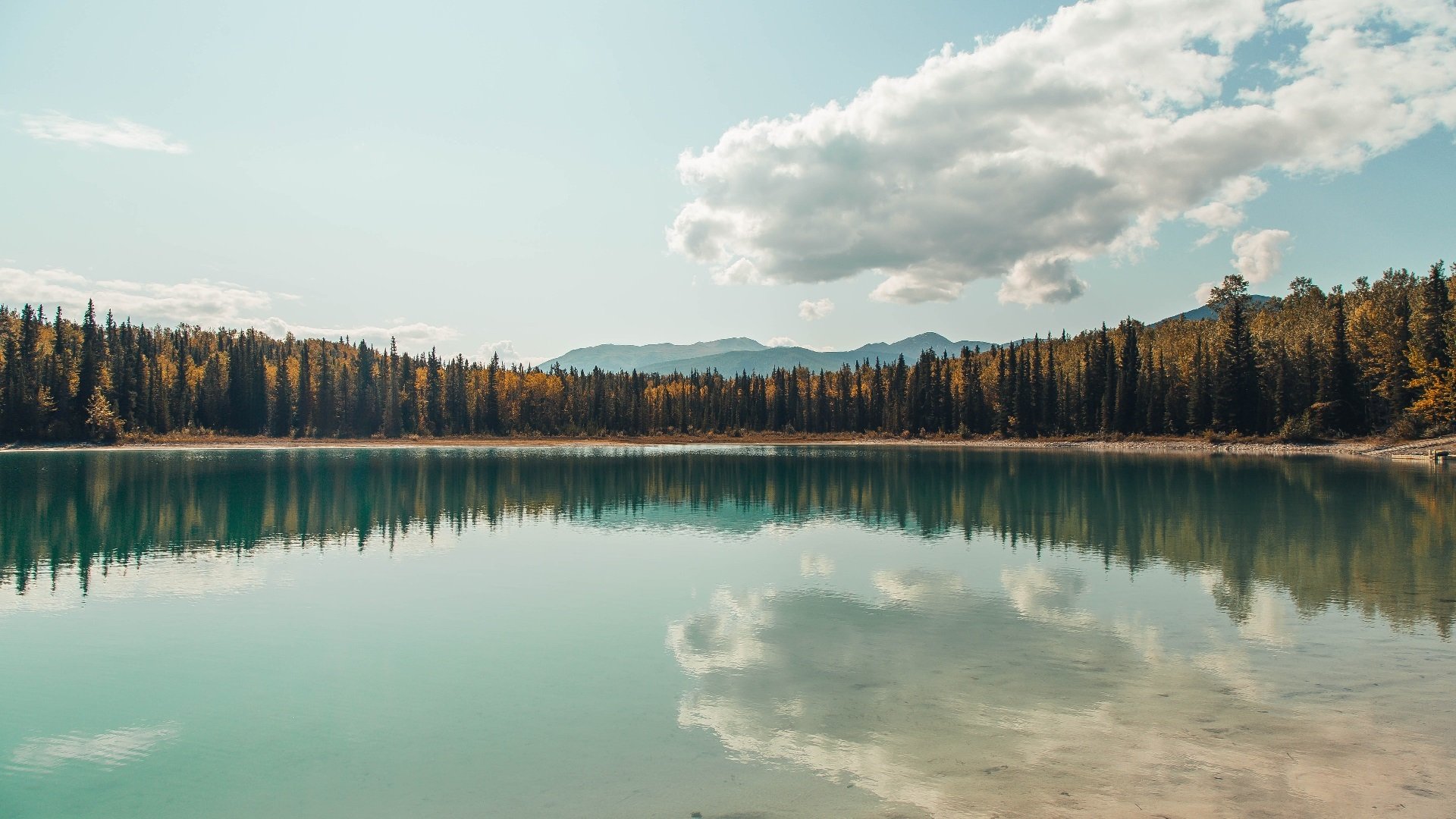 Team Liquid发布年度战略展望,teamliquidwiki