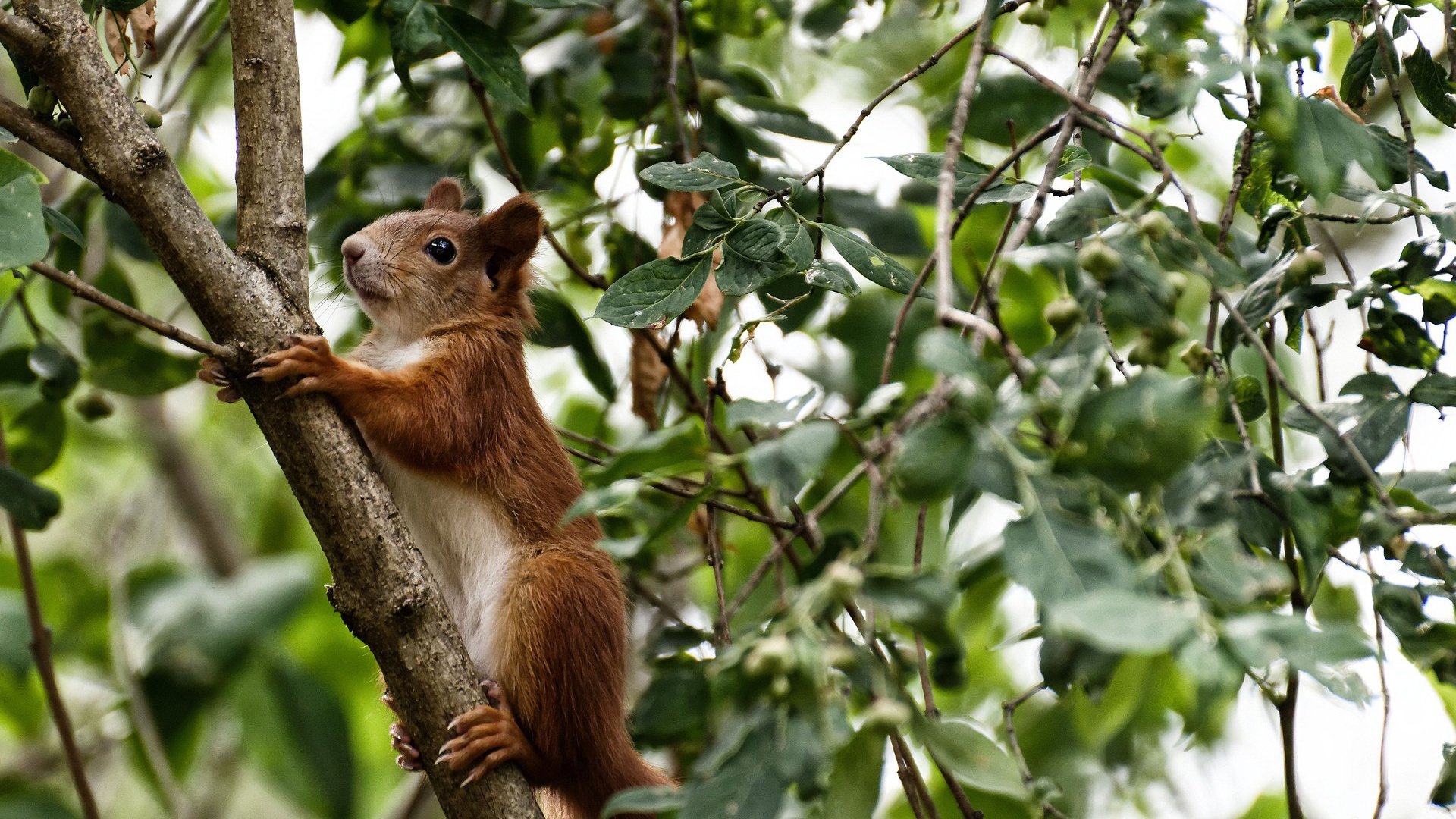 爱游戏体育APP下载-中国篮球运动社区参与度调查，篮球进社区公益活动方案计划