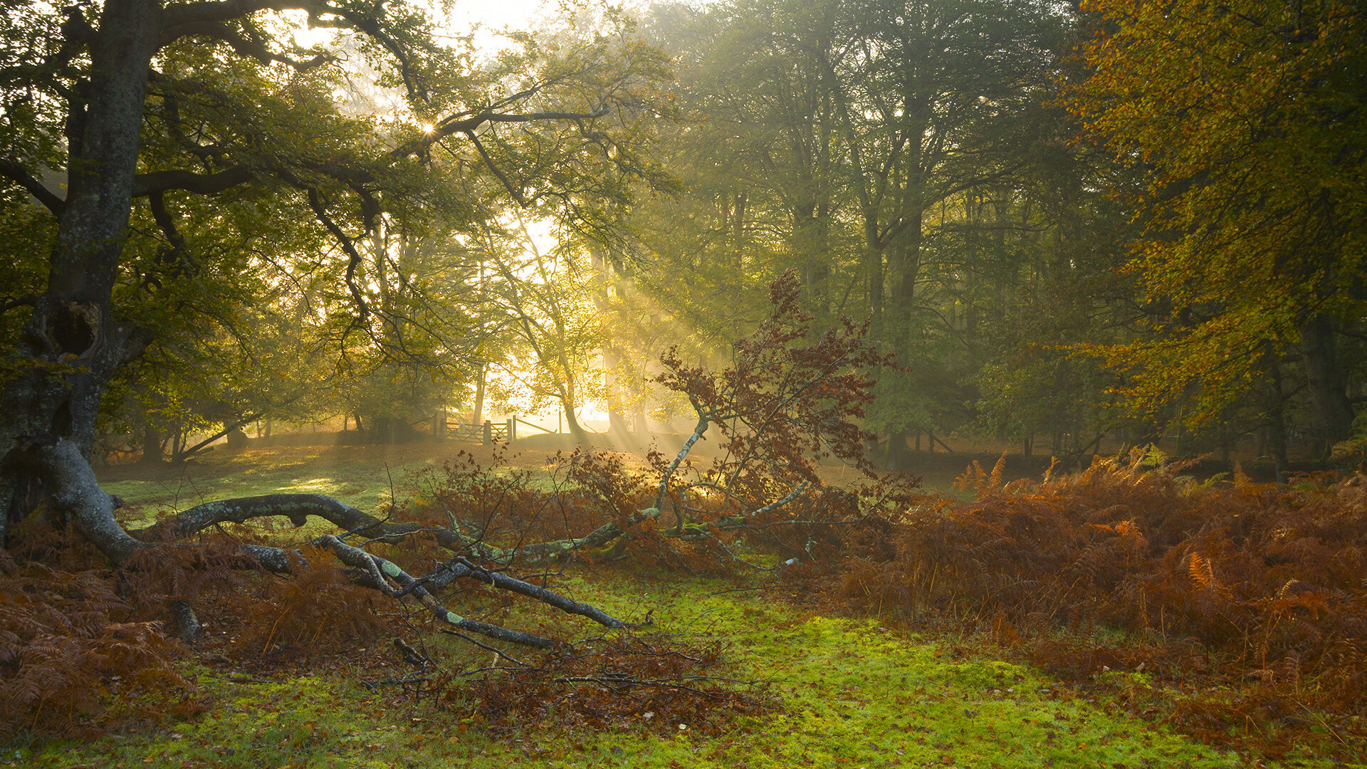 AYX GAMING-伊朗男队在国际象棋团体赛中表现出色，伊朗 国际象棋