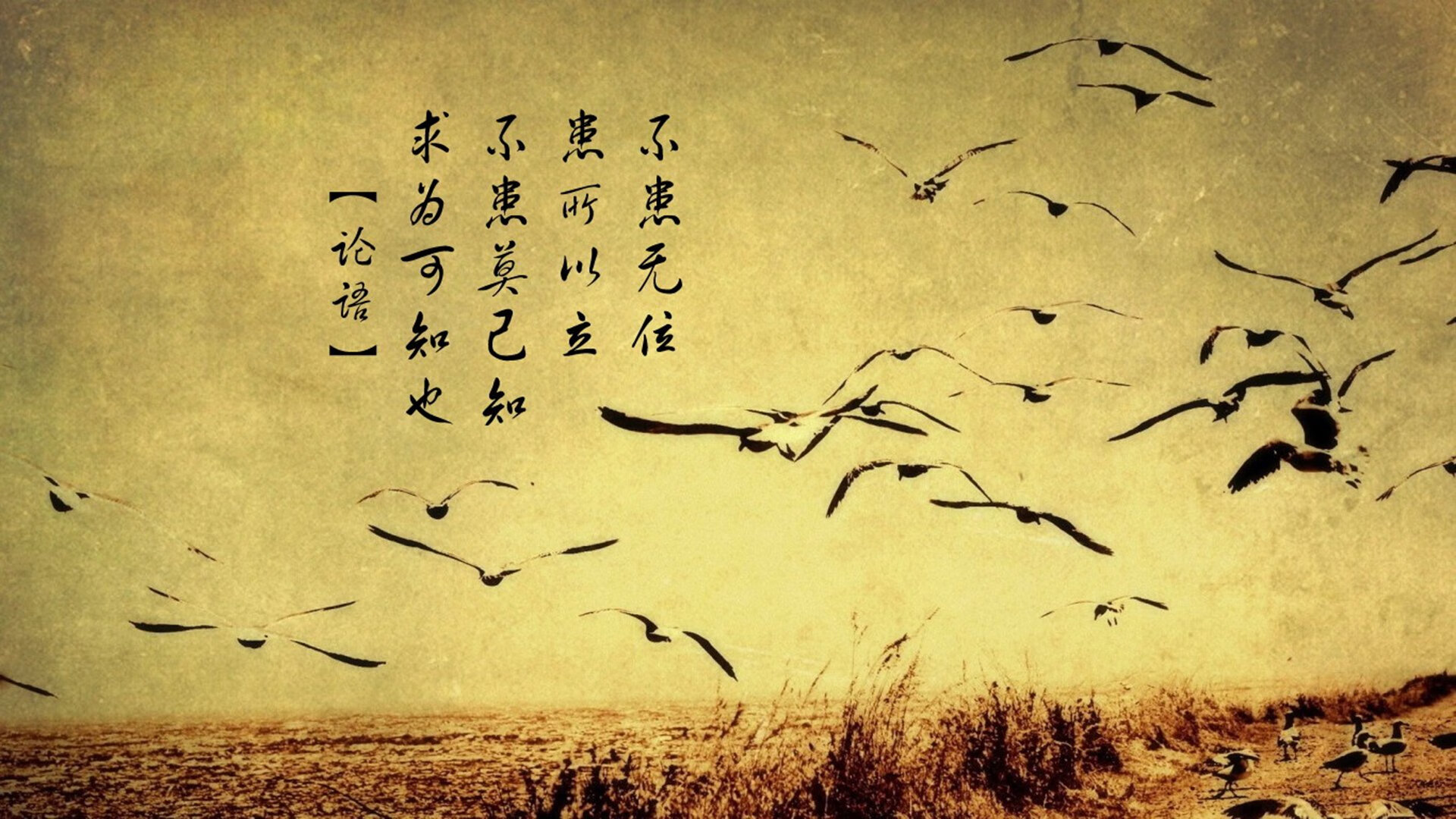 尤文图斯门将罗纳尔多在训练中受伤,或将休战一段时间,罗纳尔多去过尤文图斯吗