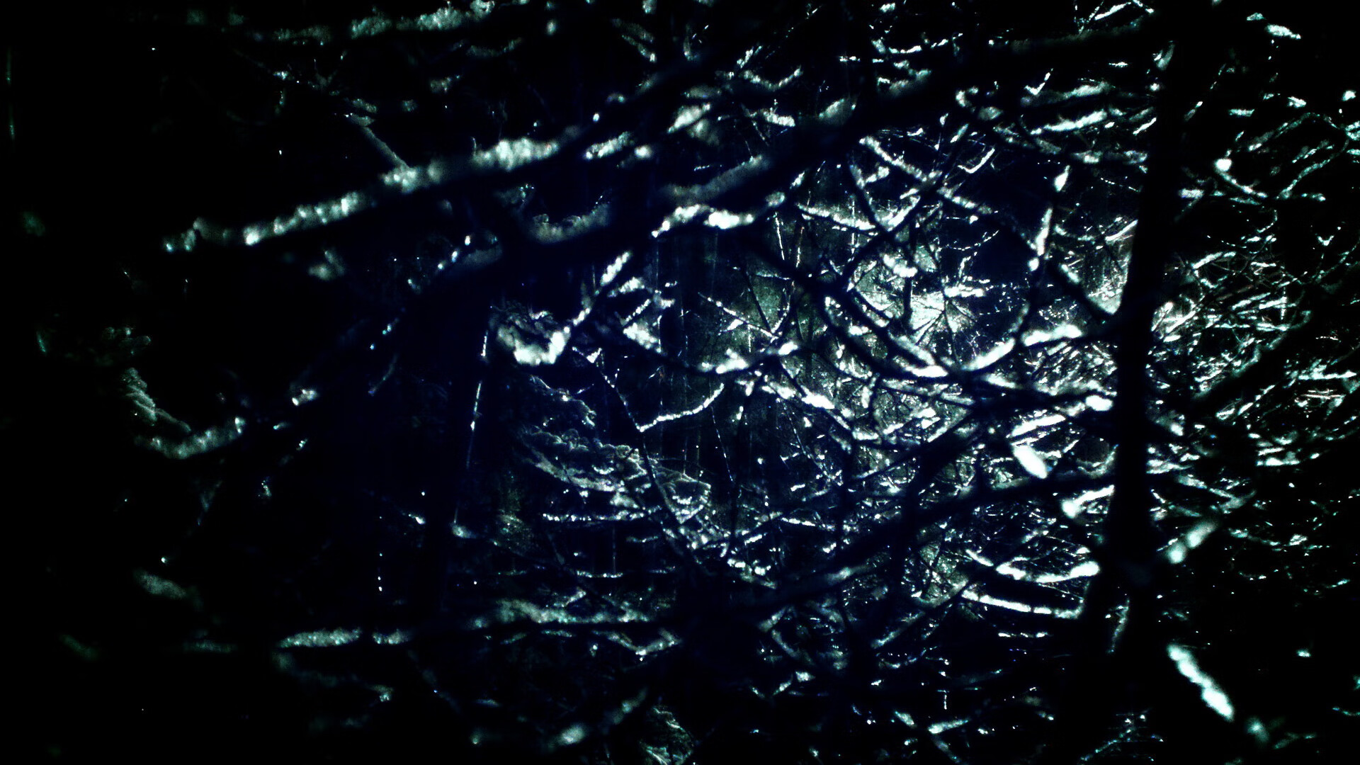 意外赛事推迟开赛，球迷遗憾不已，推迟比赛