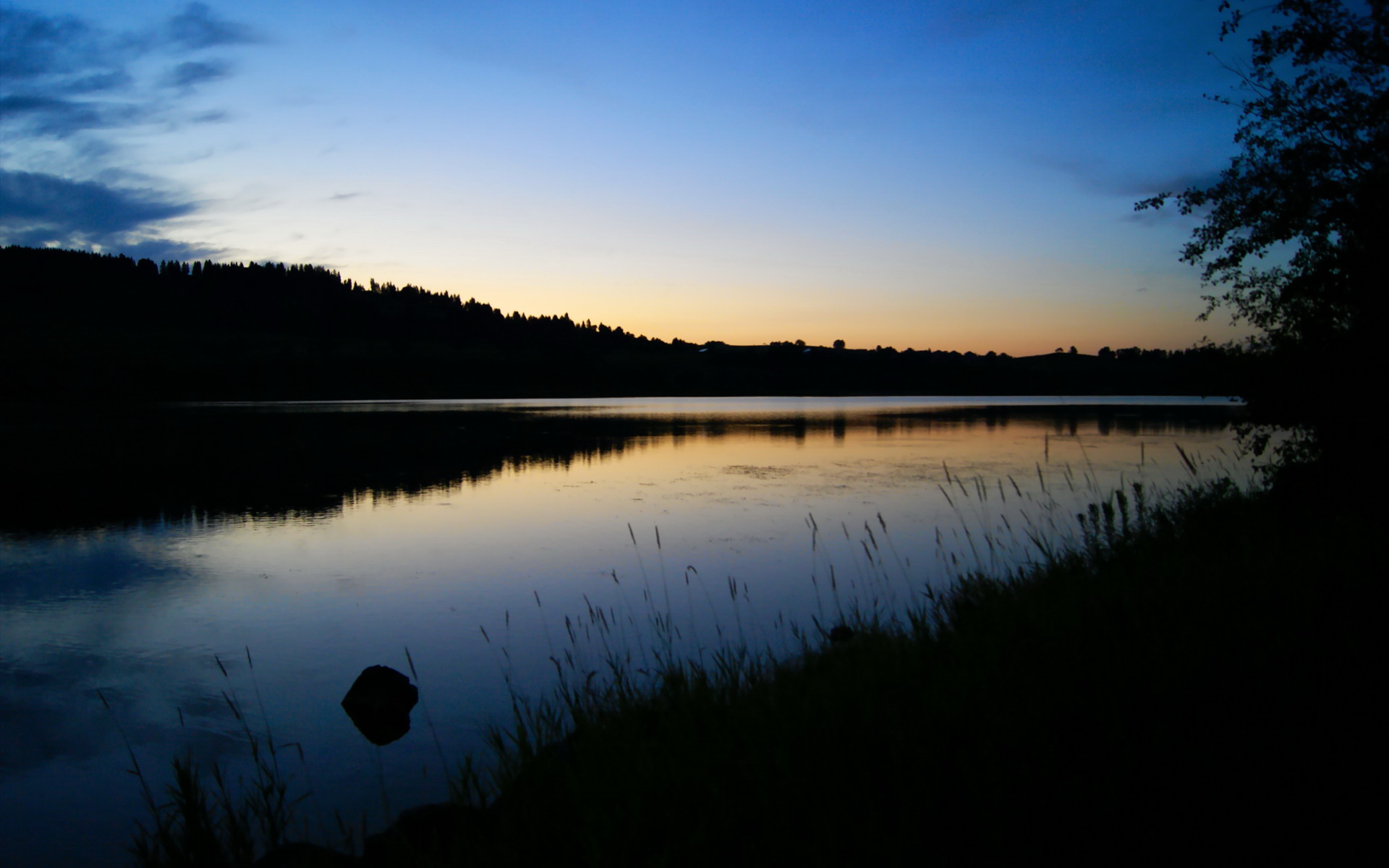 爱游戏体育（AYX）官方APP下载-雄鹿队主教练重申团队目标，全力打造王者之师，雄鹿教练是谁