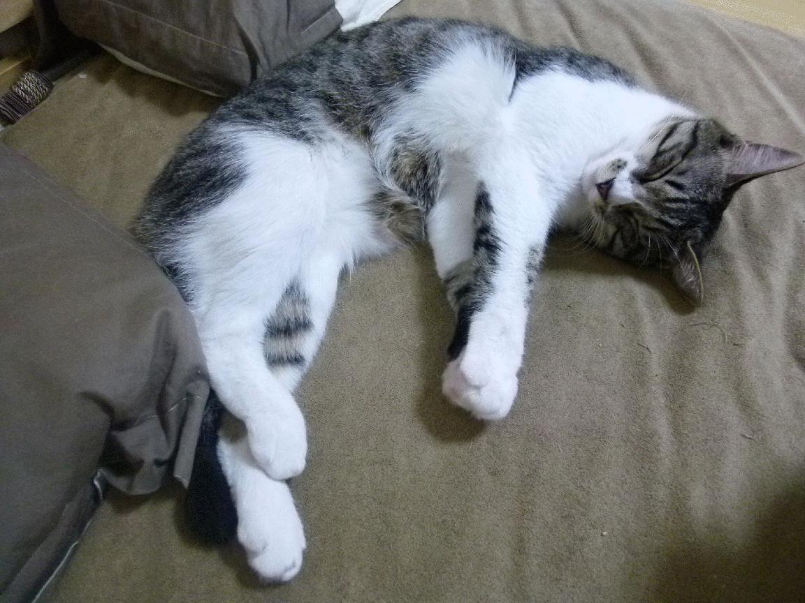 爱游戏娱乐-马德里竞技主场大胜，晋级欧国联四强，马德里竞技欧洲杯