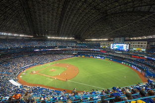 爱游戏体育平台-世界击剑锦标赛中国女花首次进四强，击剑世界冠军女