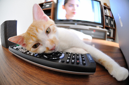 英超球队采用心率-技术动作联合建模调整恢复时间,英超联赛数据统计