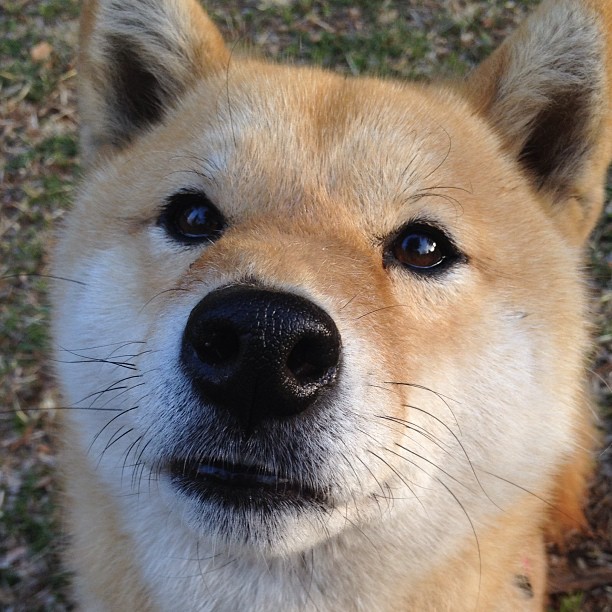 AIYOUXI.COM-青年才俊：实力派新星在赛场上的闪耀表现，青年才俊 百度百科