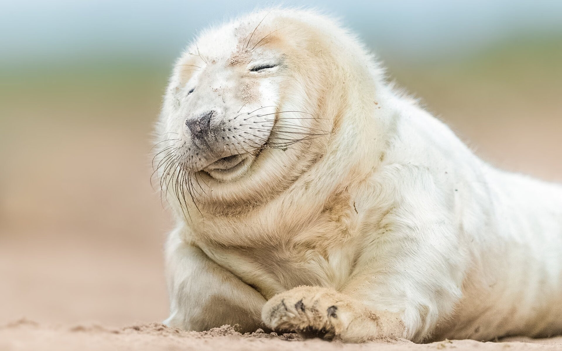 高校体育课程模块化设计与实践研究,国内高校体育课程现状