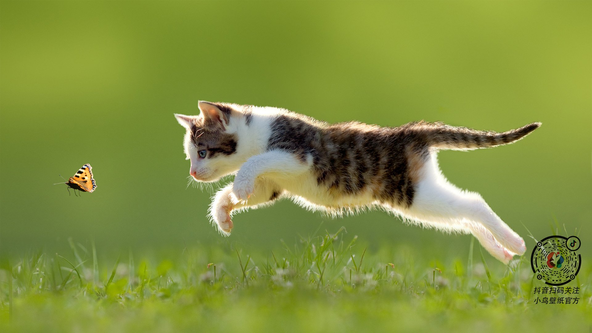 爱游戏官方网站-中国男篮末节爆发惊险胜出，中国男篮的消息