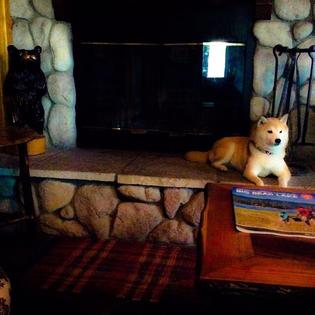 AIYOUXI.COM-中国足球联赛球场智能安保系统投入使用，足球赛安保工作方案