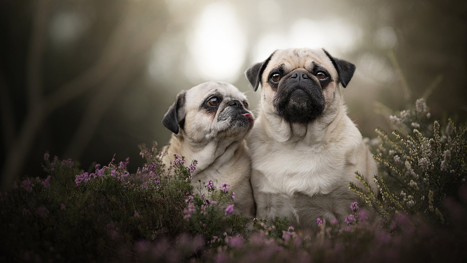 爱游戏电竞官网-克洛普不断探索创新战术，带领利物浦再攀高峰