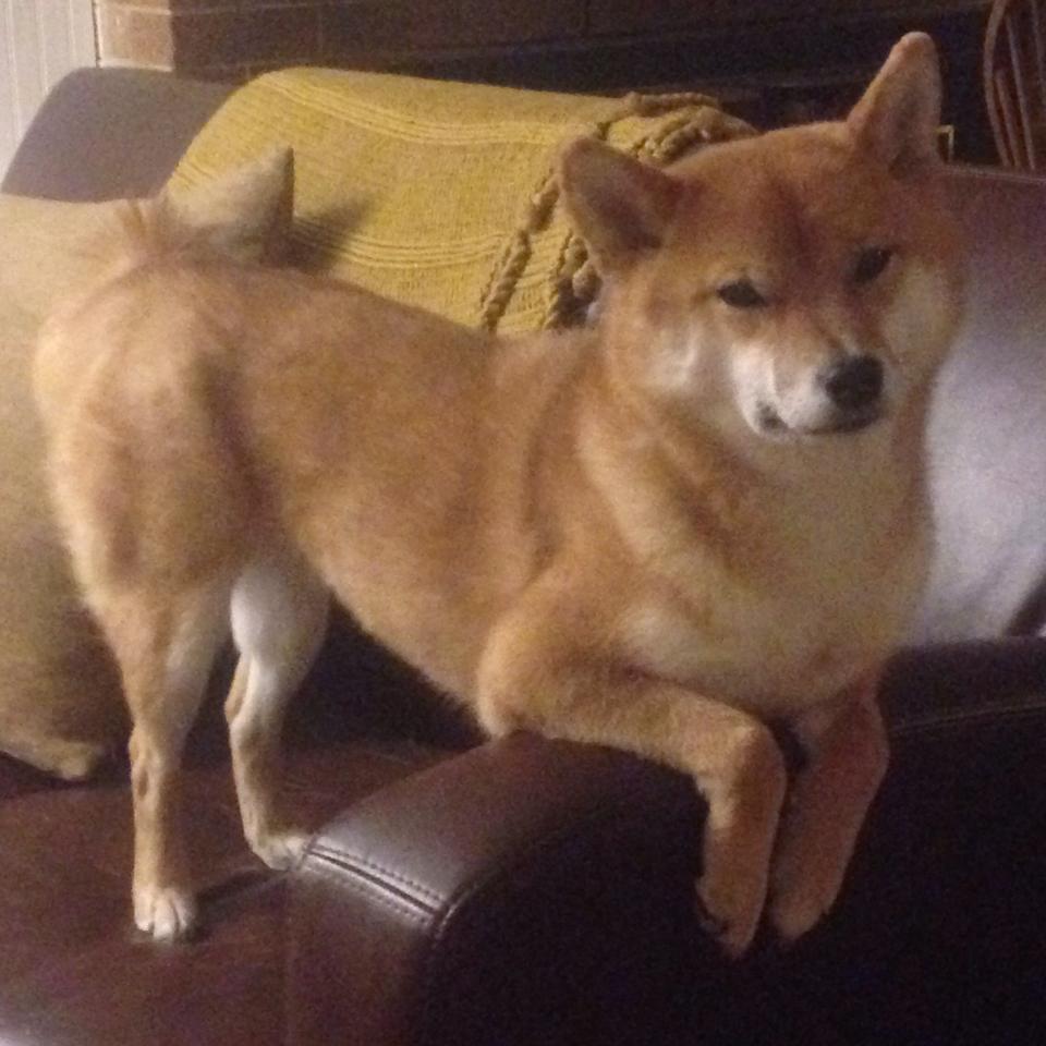 极限运动安全管理新举措,极限运动安全须知