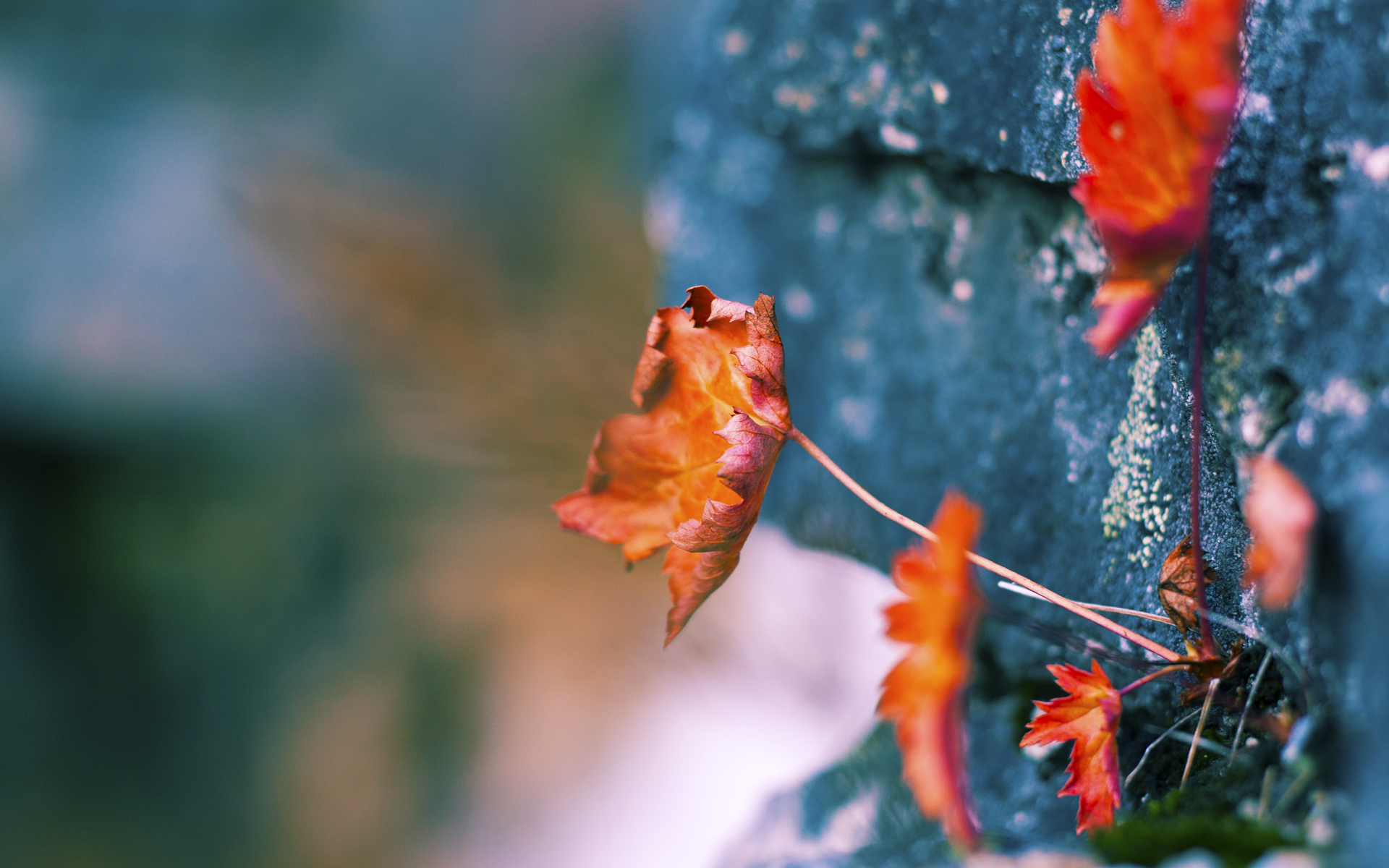 爱游戏登录入口-森林狼宣布与球员完成提前续约，森林狼转会一览表