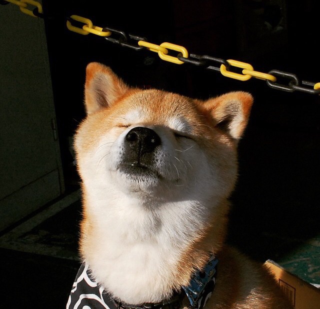 爱游戏体育app-皇马青训不断壮大，新星层出不穷