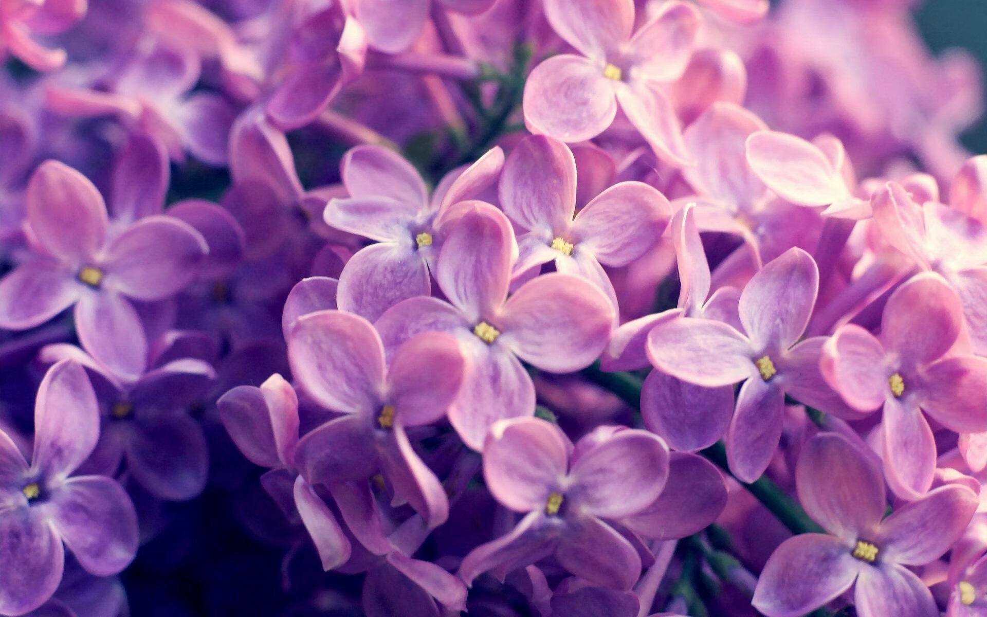 爱游戏下载-美洲杯创新的赛场环境设计，美洲杯奖杯设计